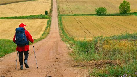 The Way, My Way 2025